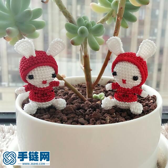 小白兔教程
