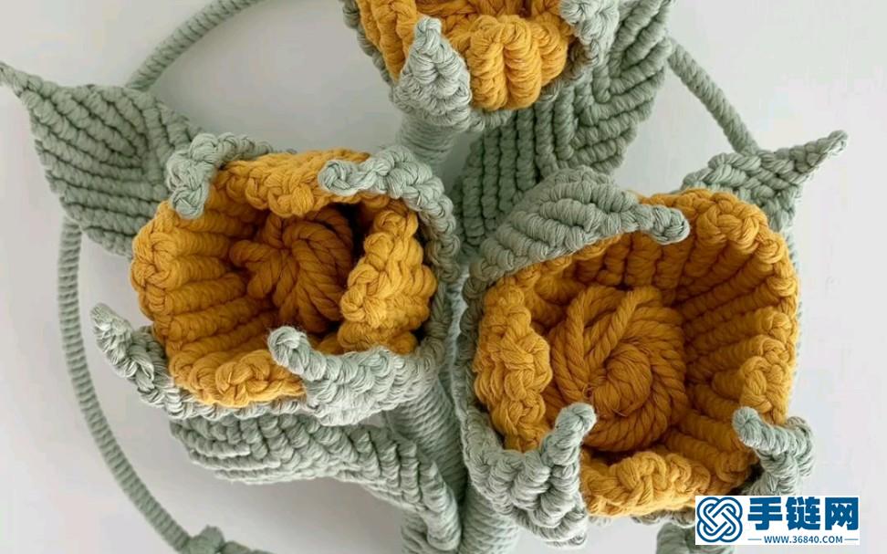 美图欣赏 | 花花的世界 | Macrame手工编织花朵壁挂装饰